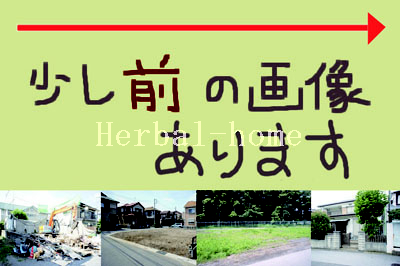 46347画像