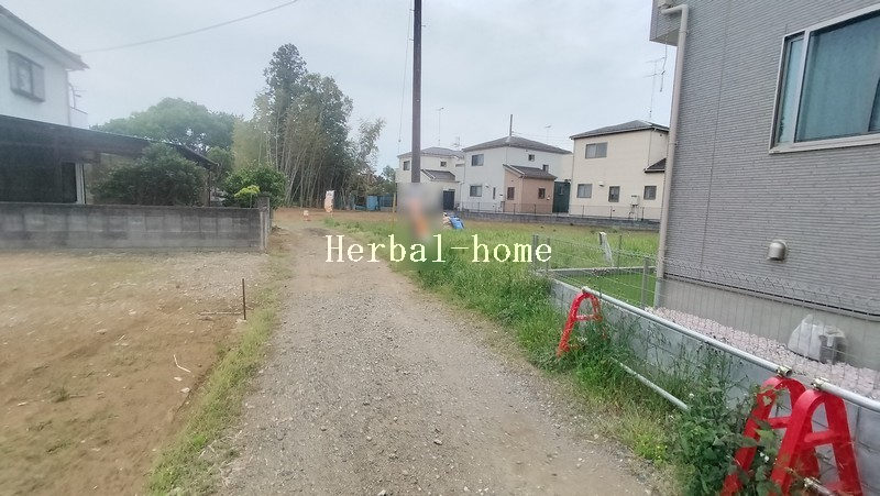 45769画像