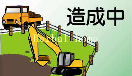 写真 写真