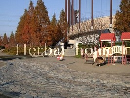 【上尾市の土地】　西門前_画像2