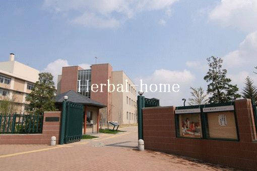 戸崎【上尾市の売戸建て】_画像2