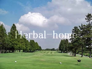 平方【上尾の売戸建て】_画像2