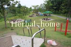 平方領々家【上尾市売戸建て】