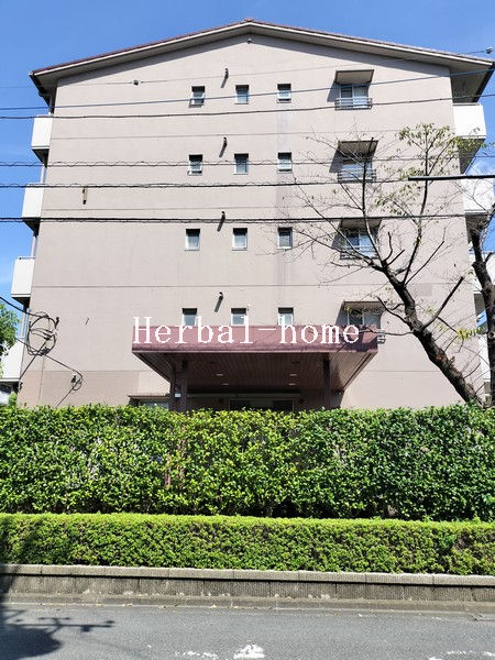 写真 写真