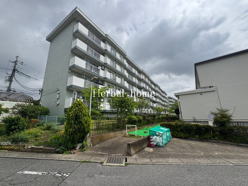 写真 写真