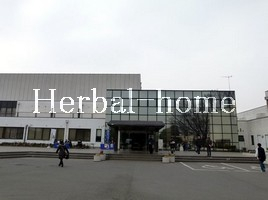 【上尾市の土地】　川