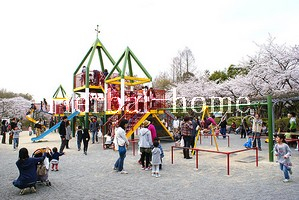 【上尾市の土地】 領家_画像3