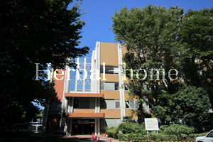 戸崎【上尾市の売戸建て】_画像3