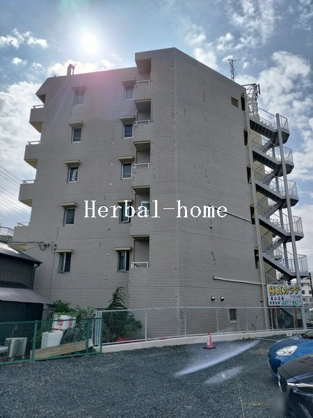 写真 写真
