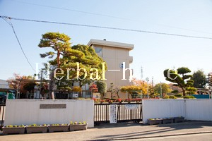 【上尾市の土地】　地頭方_画像4