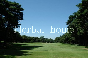 【上尾市の土地】 領家_画像4