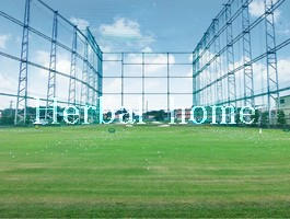 上野本郷【上尾の売戸建て】
