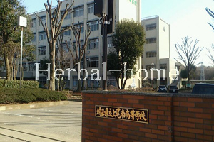 戸崎【上尾市の売戸建て】_画像4