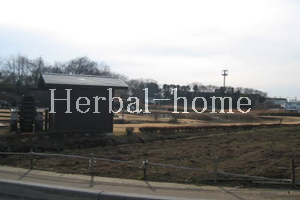 中分【上尾市の売戸建て】_画像4