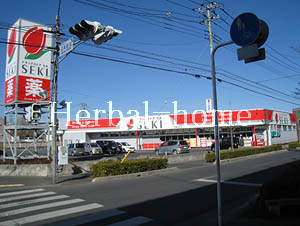 原市北【上尾市の売戸建て】_画像4