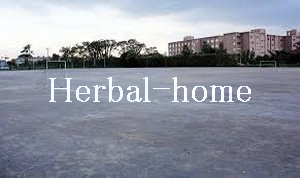 平方【上尾の売戸建て】_画像4