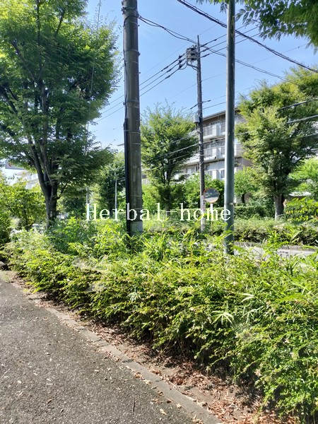 写真 写真