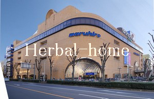 柏座【上尾市の売戸建て】_画像5