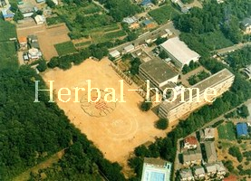 川【上尾市の売戸建て】