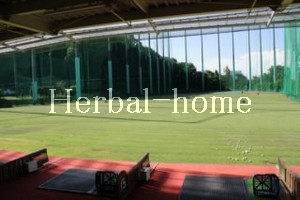 戸崎【上尾市の売戸建て】_画像5