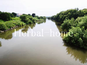 平方【上尾の売戸建て】_画像5