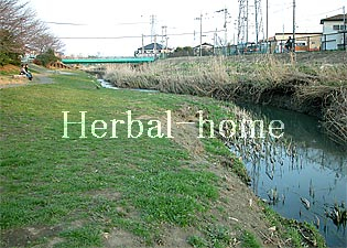 富士見【上尾市の売戸建て】_画像5