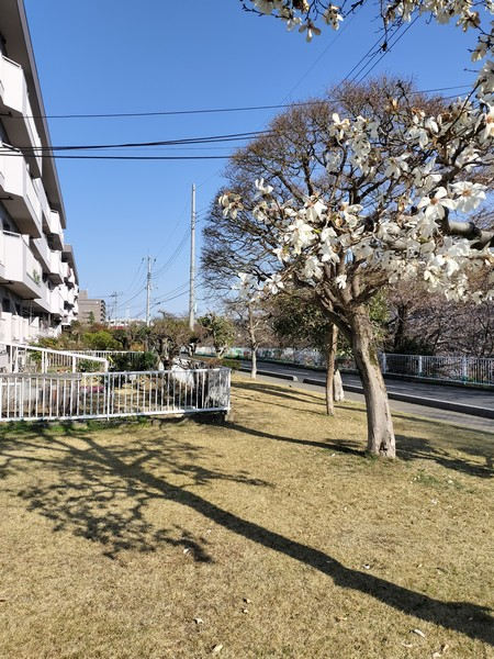 写真 写真
