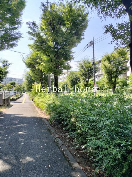 写真 写真