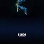 suede / night thoughts