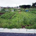 上尾市壱丁目　約５０坪　【土地/上尾市・販売事例集】