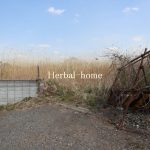 上尾市領家　約２８６坪　【土地／販売事例集】