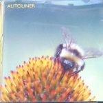 【音楽図鑑】　AUTOLINER /BE