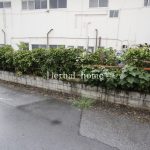 上尾市平塚　約３９坪　【土地／販売事例集】