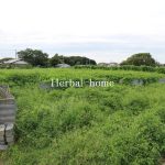 上尾市上野本郷　約２３８坪　【土地／販売事例集】
