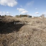 上尾市上野本郷　約２３８坪　【土地／販売事例集】