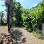 上尾市南　約３８５坪　【土地／販売事例集】