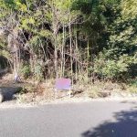 上尾市平方領々家　約９１１坪　【土地／販売事例集】