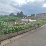 上尾市平方領々家　約４８７坪　【土地／販売事例集】