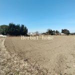 上尾市上野本郷 約263坪 【土地/販売事例集】